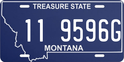 MT license plate 119596G