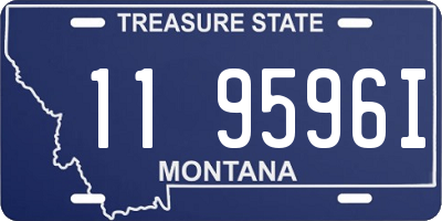 MT license plate 119596I