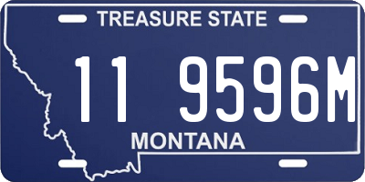 MT license plate 119596M