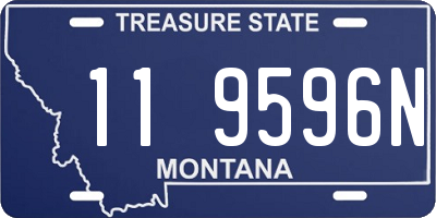 MT license plate 119596N