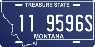 MT license plate 119596S