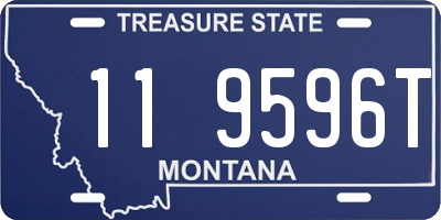 MT license plate 119596T