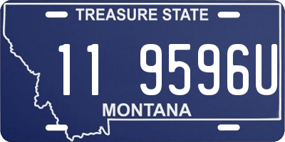 MT license plate 119596U