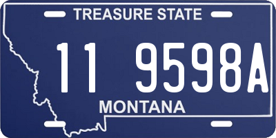 MT license plate 119598A