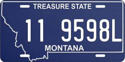 MT license plate 119598L