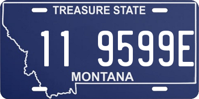 MT license plate 119599E