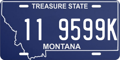 MT license plate 119599K