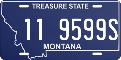 MT license plate 119599S