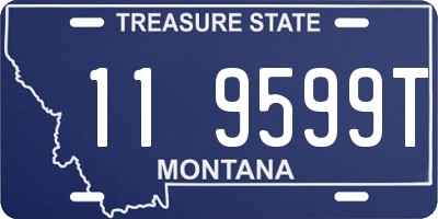 MT license plate 119599T