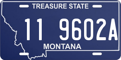 MT license plate 119602A