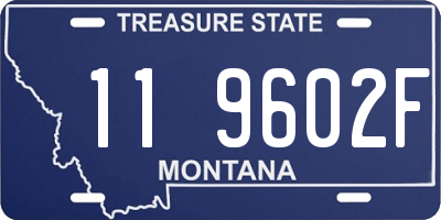 MT license plate 119602F