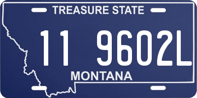 MT license plate 119602L
