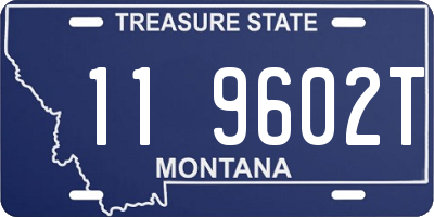 MT license plate 119602T