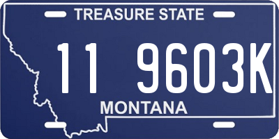 MT license plate 119603K