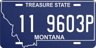 MT license plate 119603P