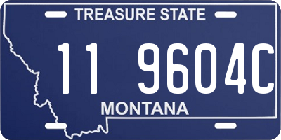 MT license plate 119604C