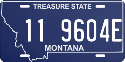 MT license plate 119604E