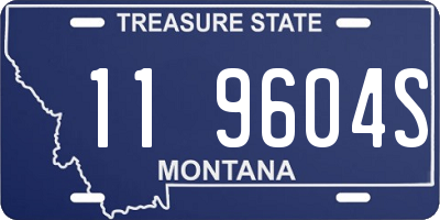 MT license plate 119604S