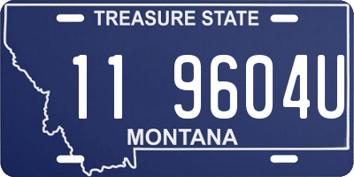 MT license plate 119604U