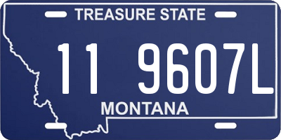 MT license plate 119607L