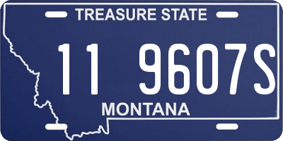 MT license plate 119607S