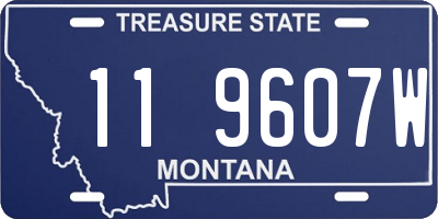 MT license plate 119607W