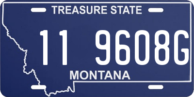 MT license plate 119608G