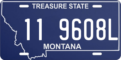 MT license plate 119608L