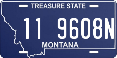 MT license plate 119608N