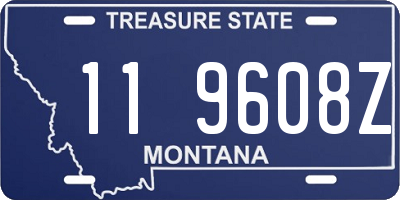 MT license plate 119608Z