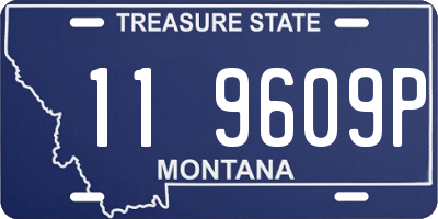 MT license plate 119609P
