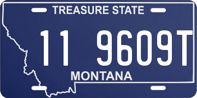 MT license plate 119609T