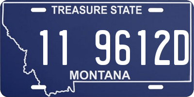 MT license plate 119612D