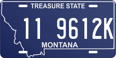 MT license plate 119612K