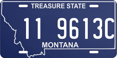 MT license plate 119613C