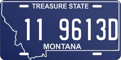MT license plate 119613D