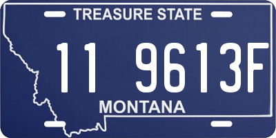MT license plate 119613F