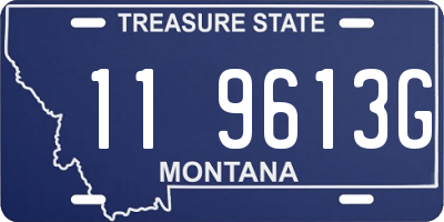 MT license plate 119613G