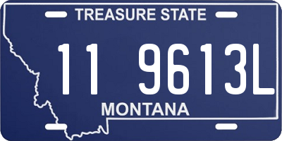MT license plate 119613L