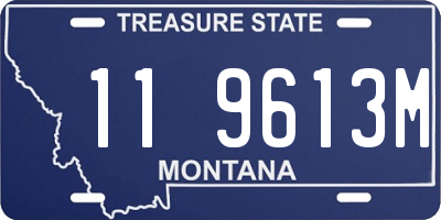MT license plate 119613M
