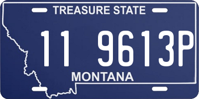 MT license plate 119613P
