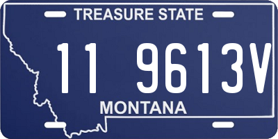 MT license plate 119613V