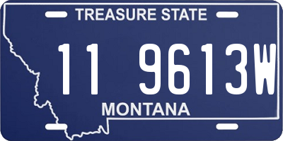 MT license plate 119613W