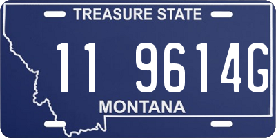MT license plate 119614G