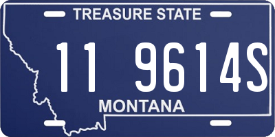 MT license plate 119614S