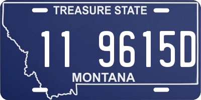 MT license plate 119615D