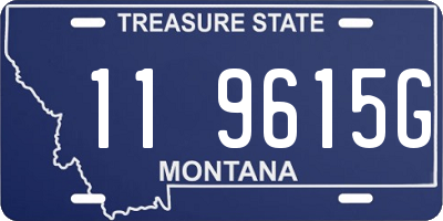 MT license plate 119615G