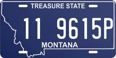 MT license plate 119615P