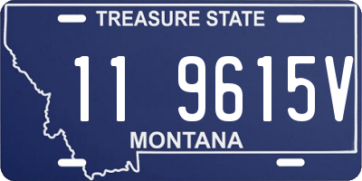 MT license plate 119615V