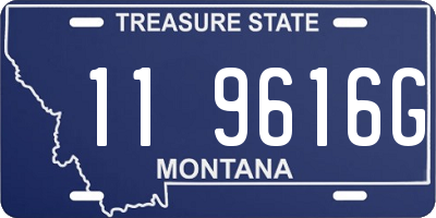 MT license plate 119616G